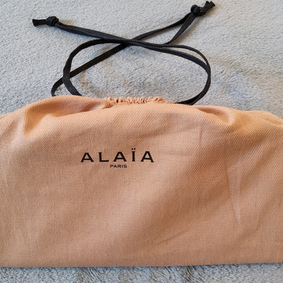 NWOT Alaia Oversized Copper Gold Square Rim Sunglasses - Picture 16 of 16